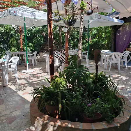 Mi Campana Dénia