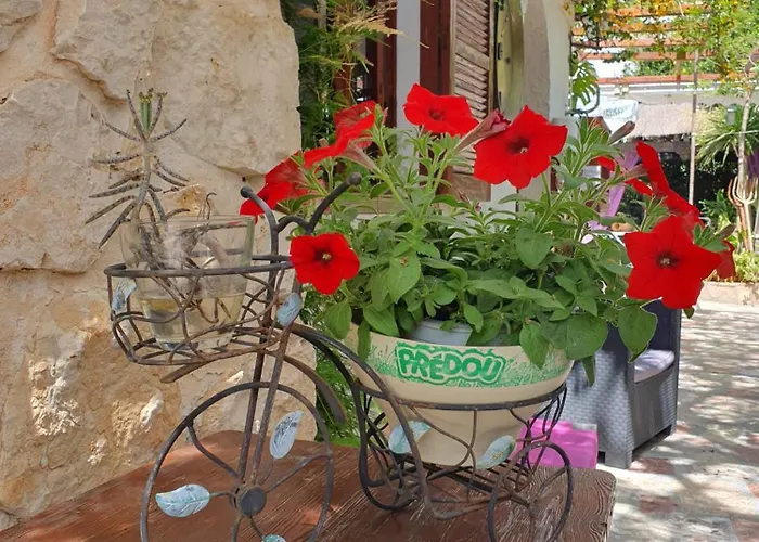 Mi Campana デニア