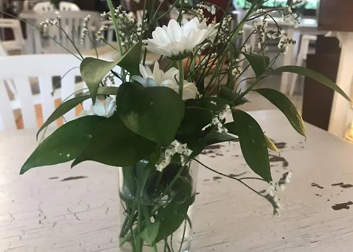 Gasthuis Mi Campana Dénia